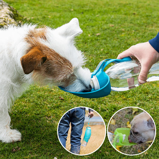 Petit chien boit gourde chien