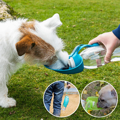 Petit chien boit gourde chien