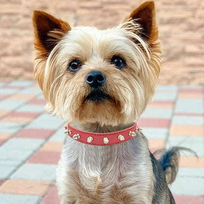 petit chien collier pour chien punk rouge
