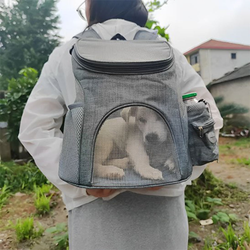 Petit chien découvre le monde depuis Sac à dos pour chien 