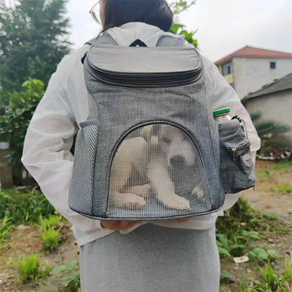 Petit chien découvre le monde depuis Sac à dos pour chien 