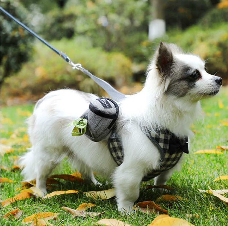 Petit chien distributeur-de sac harnais