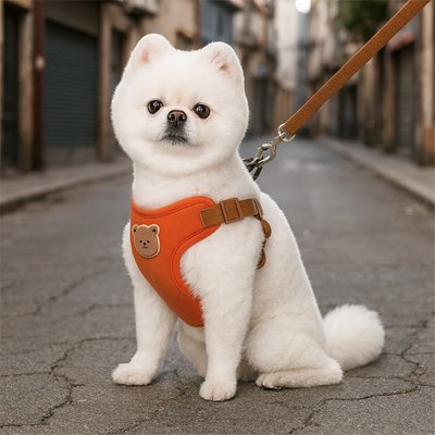 petit chien harnais pour petit chien rouge