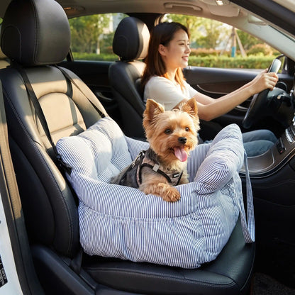 Petit chien installé devant voiture siège auto pour petit chien