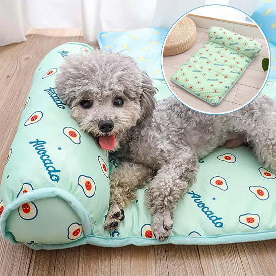 petit chien repose tête oreillers tapis rafraichissant chien