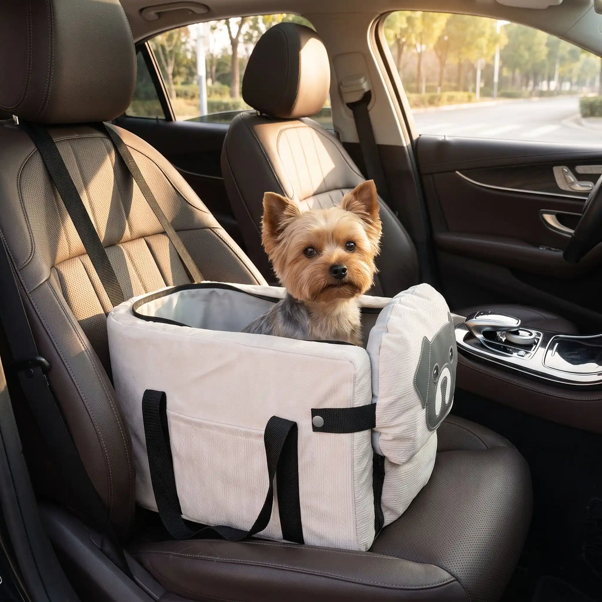 Petit chien sac de transport pour chien assis sagement