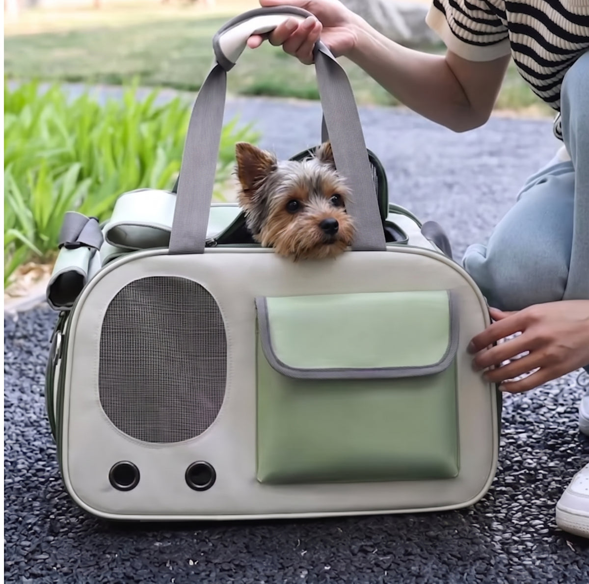 Petit chien tête sac de transport pour chien