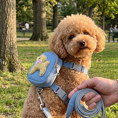 Petit voyageur bleu harnais pour chien 
