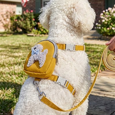 Petit voyageur harnais pour chien tranquillement assis dans un parc