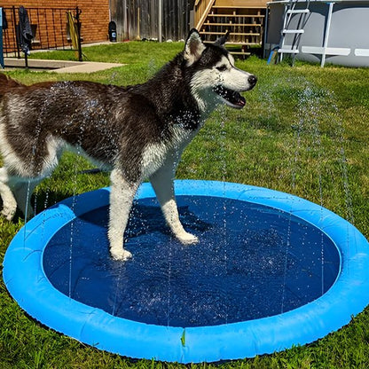 Piscine pour chien antidérapantes 