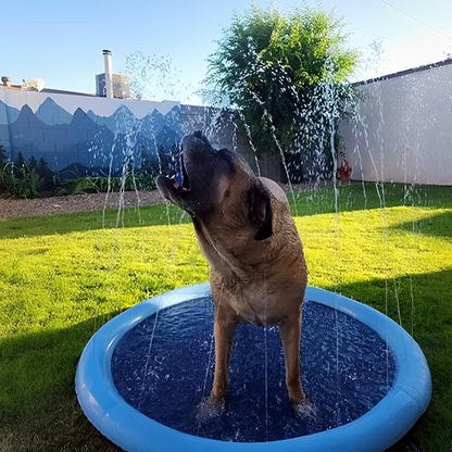 Piscine pour chien été jardin