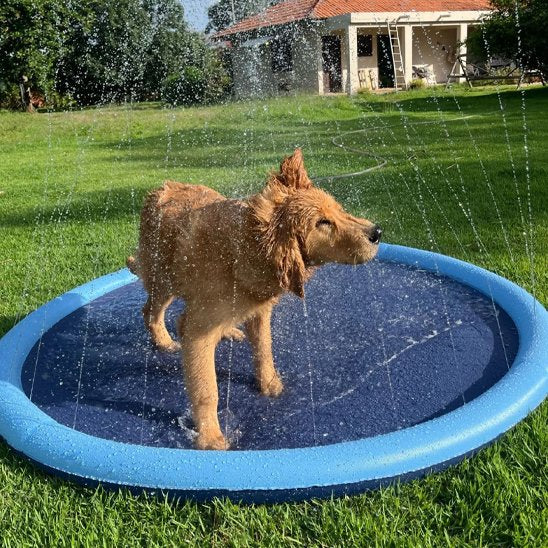 Piscine pour chien pliable