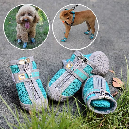 Plusieurs tailles de chaussure chien 