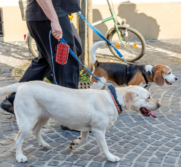 poogo etuis pour sac à déjection rouge double chien