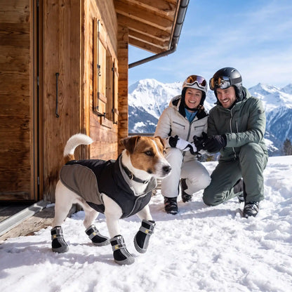 Première fois chien marche chaussure pour chien