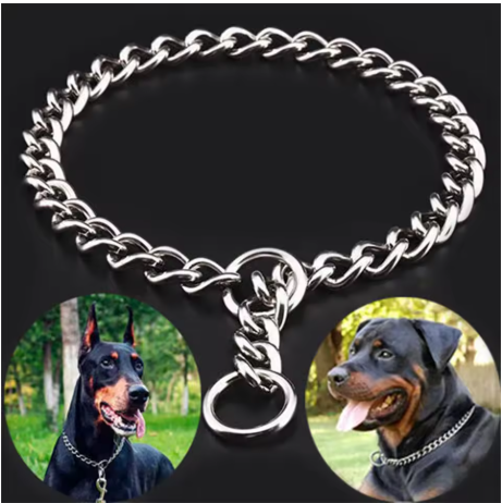 presentation collier pour chien kyoto gros chien
