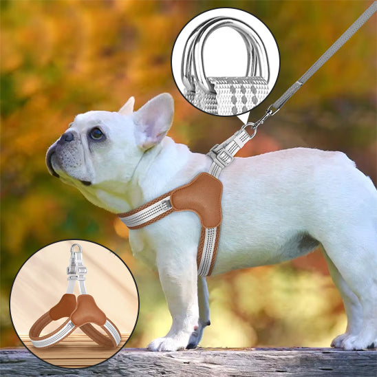 presentation harnais pour chien marron