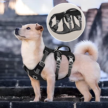 presentation harnais pour chien