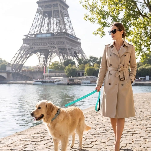 Promenade chien au bord seine avec laisse pour chien réfléchissante