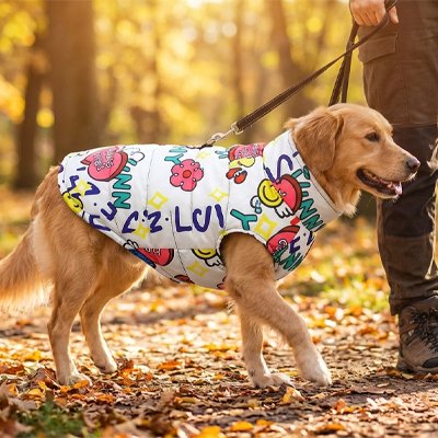 Promenade dans les bois le chien porte Manteau Chien