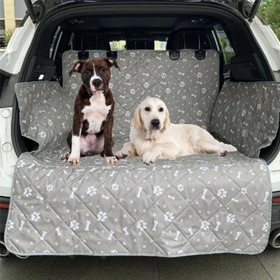 ProtecPaw Protection chien voiture protection coffre