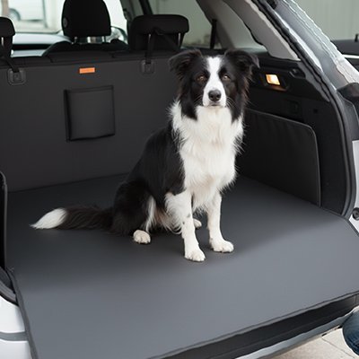 Protection chien voiture anti griffure et imperméable