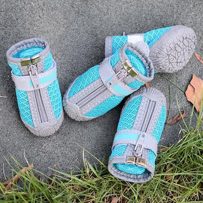 Quatre chaussure chien lake bleue