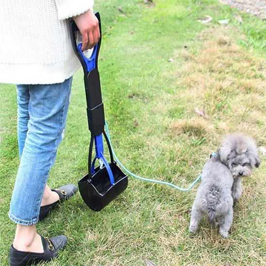 ramasse crottes pour chien bleu