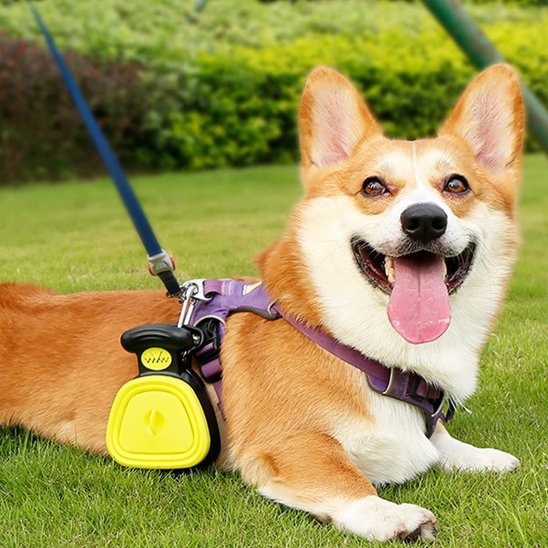 ramasse crottes pour chien jaune attaché au harnais du chien