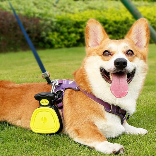 ramasse crottes pour chien jaune attaché au harnais du chien