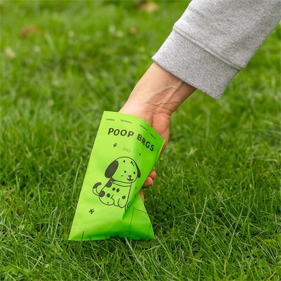 Ramasse déjection canine avec sac a crotte​