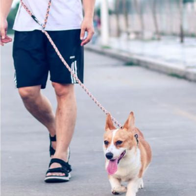 rando homme fait sortie laisse mains libres chien