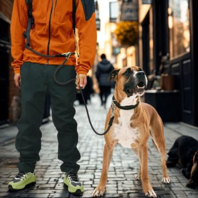 Réglable pro homme discute avec amie laisse mains libres