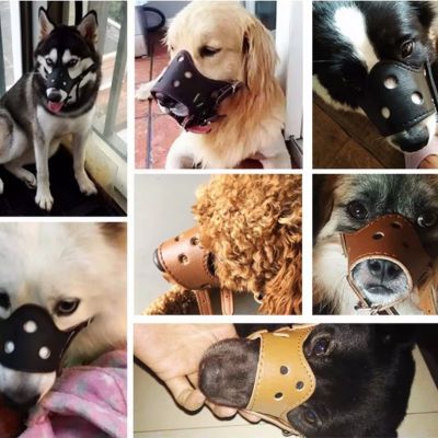 relaxmuzzle muselière pour chien différente races chiens