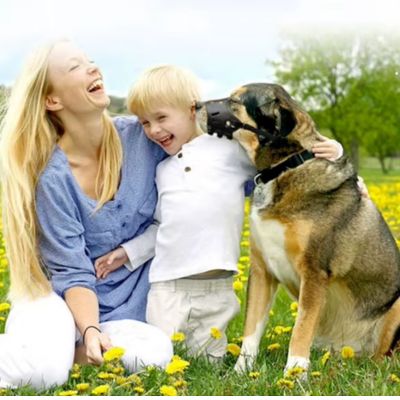 relaxmuzzle muselière pour chien famille assis herbe chien