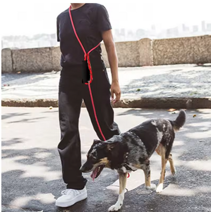 résistance style laisse chien rouge mains libres 1