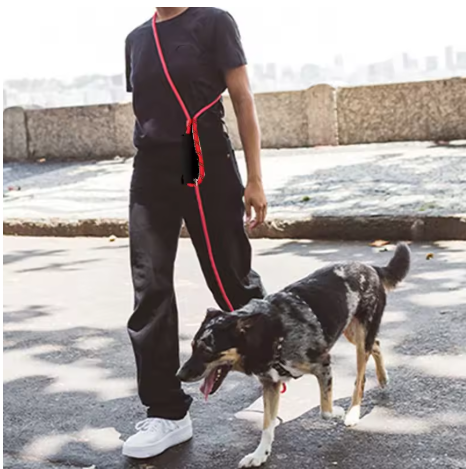 résistance style laisse chien rouge mains libres