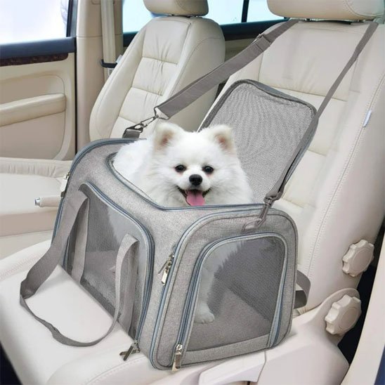 sac de transport chien poser dans la voiture près pour l'aventure