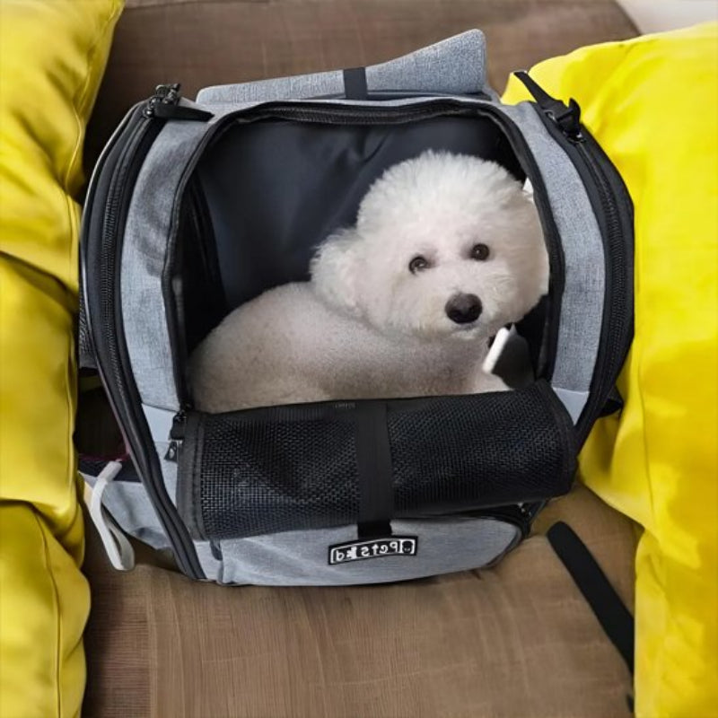 Sac de transport pour chien pour chien de 9 kg maximum