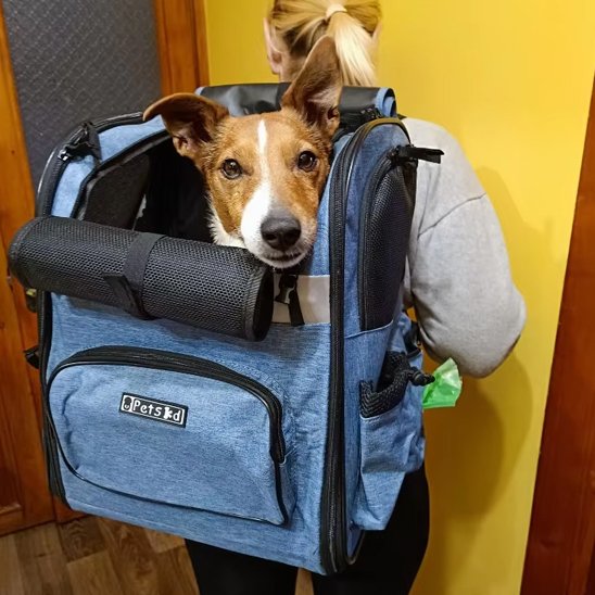 Sac de transport pour chien renforcer