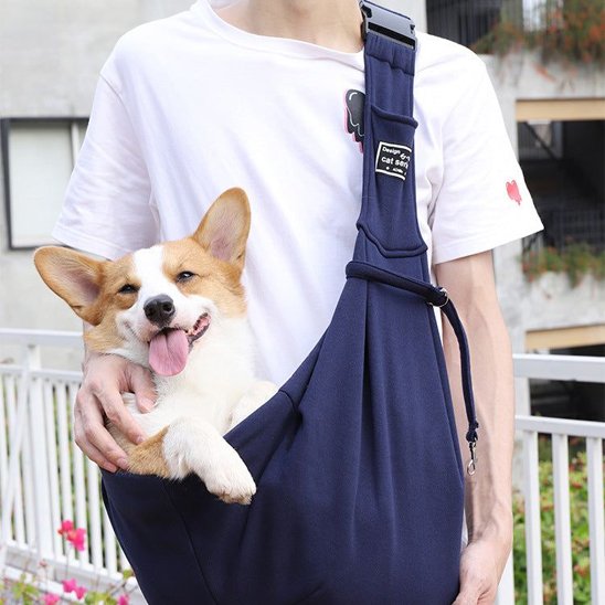 Sac de transport pour chien sécuritaire bleu naivie