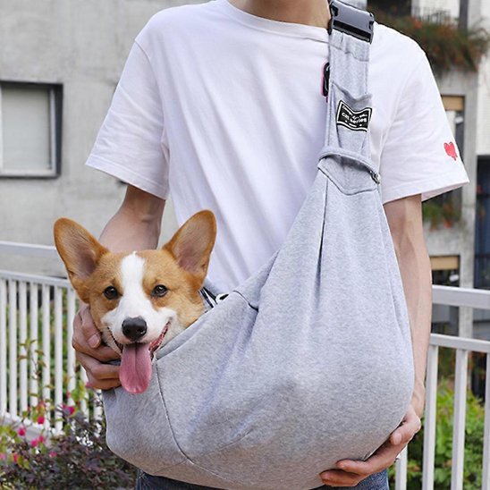 Sac de transport pour chien spacieux