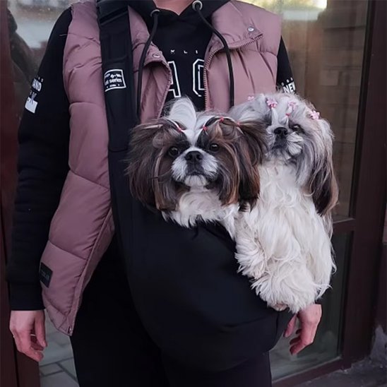 Sac de transport pour chien utilisée toute l'année