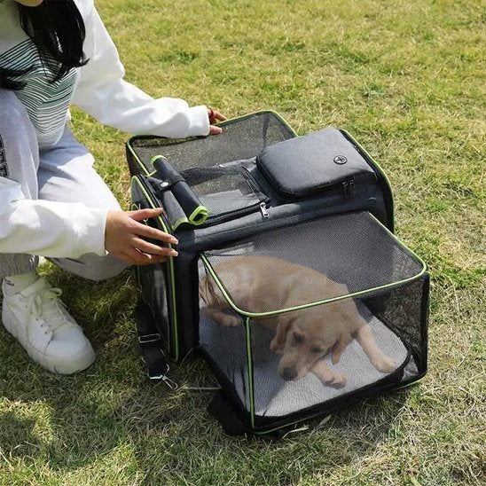 Sac de transport pour chien ventilé