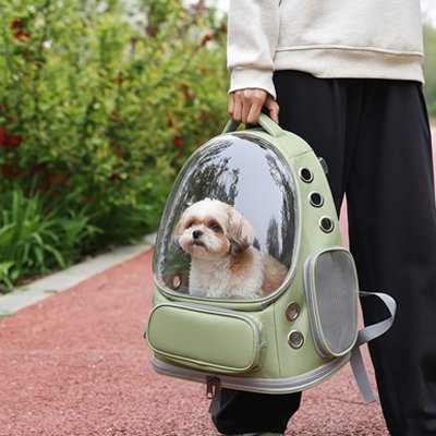 Sac transport Chien tenue à la main