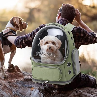 Sac transport Chien un homme est en promenade