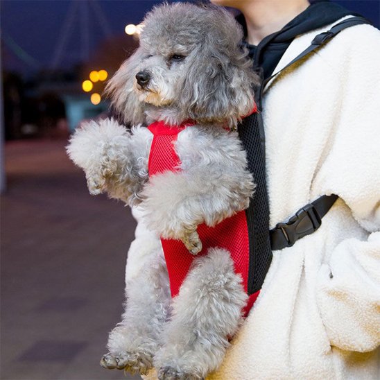 Sac Urbain sac ventral chien rouge 