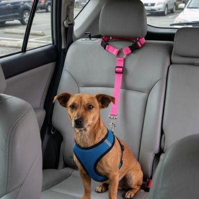 Safepaw Strap Ceinture de sécurité pour chien rose