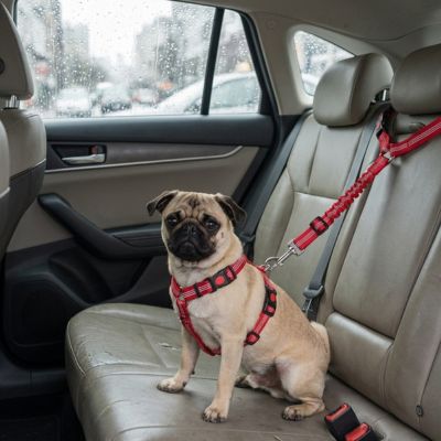 Securpaw ceinture de sécurité pour chien rouge
