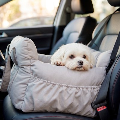 Siege auto pour chien confortable et sésuritaire